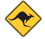 Dundas Skippycoin ICG